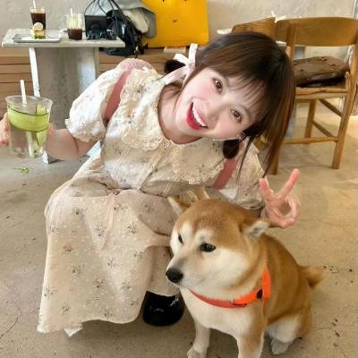 想爱就爱2