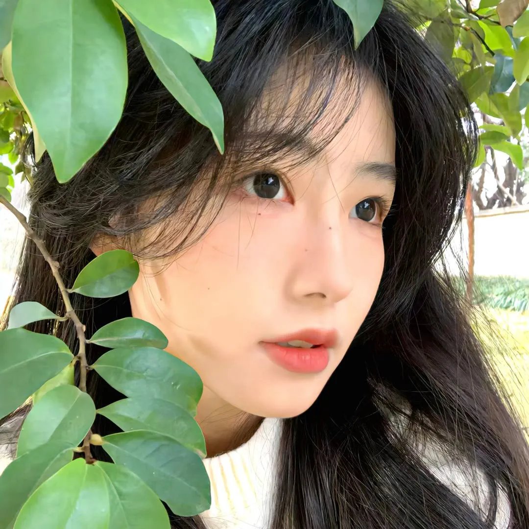 黑色月光粤语